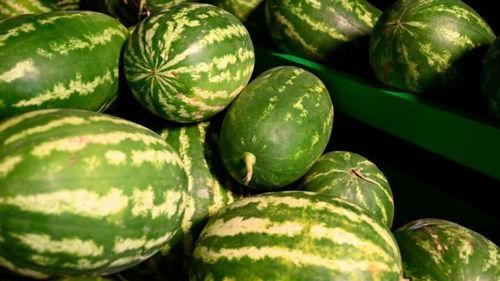 南充网红吃瓜事件,一场网络狂欢背后的真相与反思