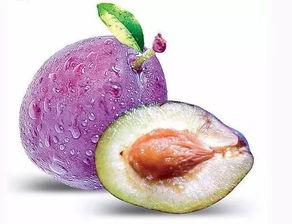 柳州红豆社区网吃瓜大师