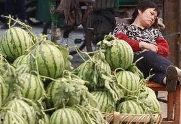 景区吃瓜网红事件真相,揭秘背后的真相与争议