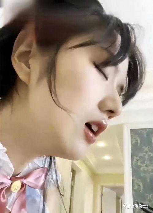 吃瓜网菜网红视频在线观看,带你领略美食新风尚