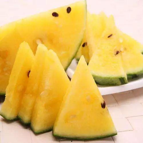 黑吃料网吃瓜必备,揭秘娱乐圈幕后真相，吃瓜必备指南