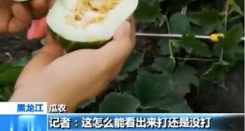 镇平网红齐红亚吃瓜事件真相,真相背后的网络风波