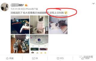 网红吃瓜出轨视频大全,吃瓜视频大全盘点