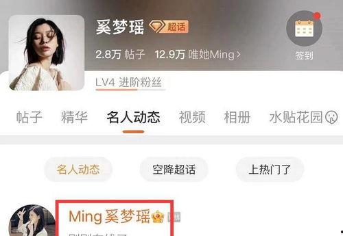 网曝精品吃瓜网址大全,揭秘精品吃瓜网址大全，带你畅游网络娱乐世界