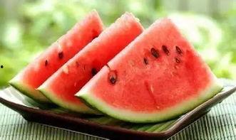 学校吃瓜事件网红