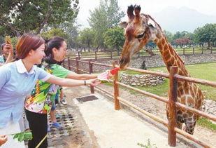 张宏涛吃瓜网,揭秘娱乐圈幕后故事